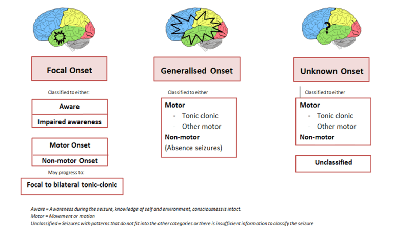 types-of-seizures-brainbook